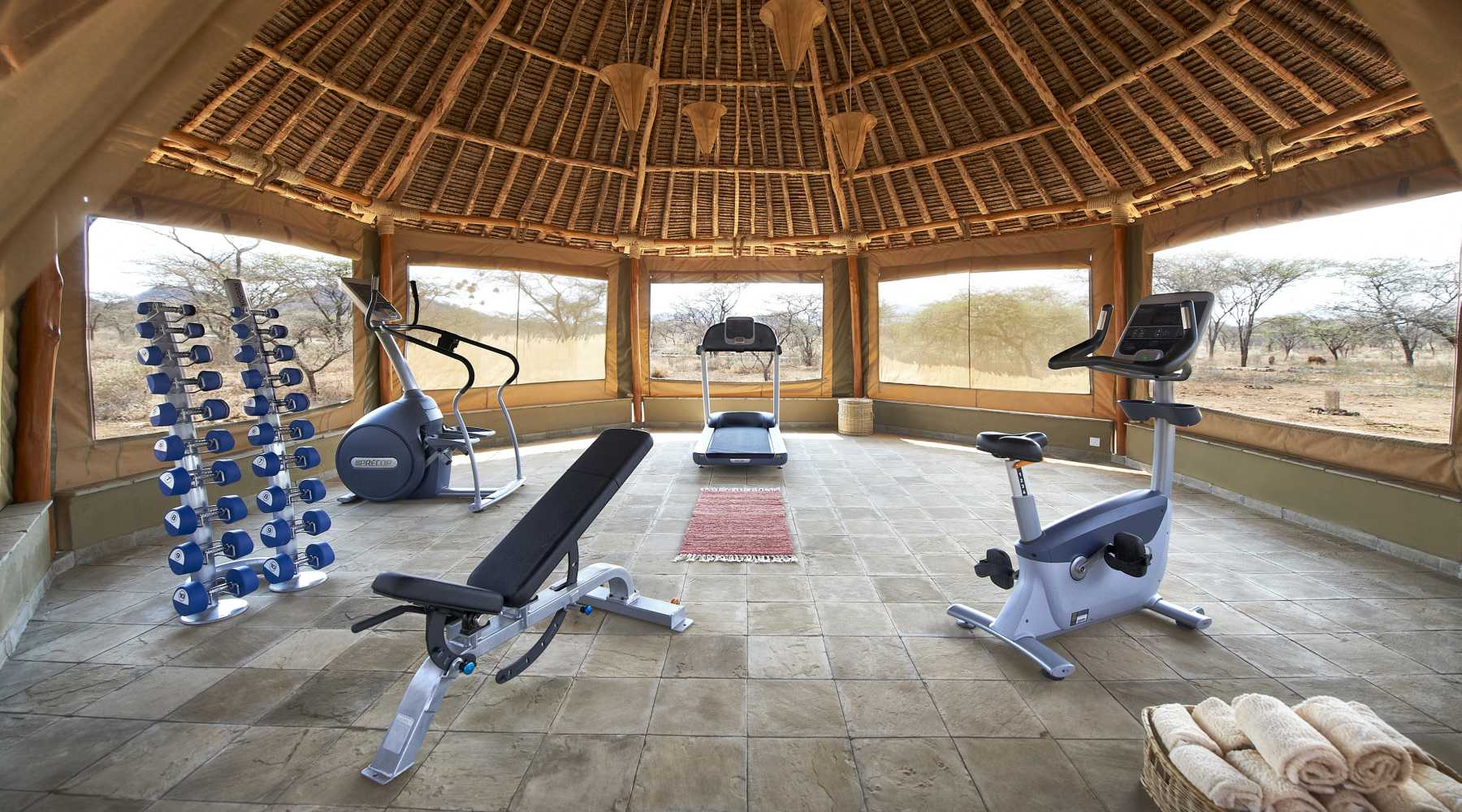 16471848