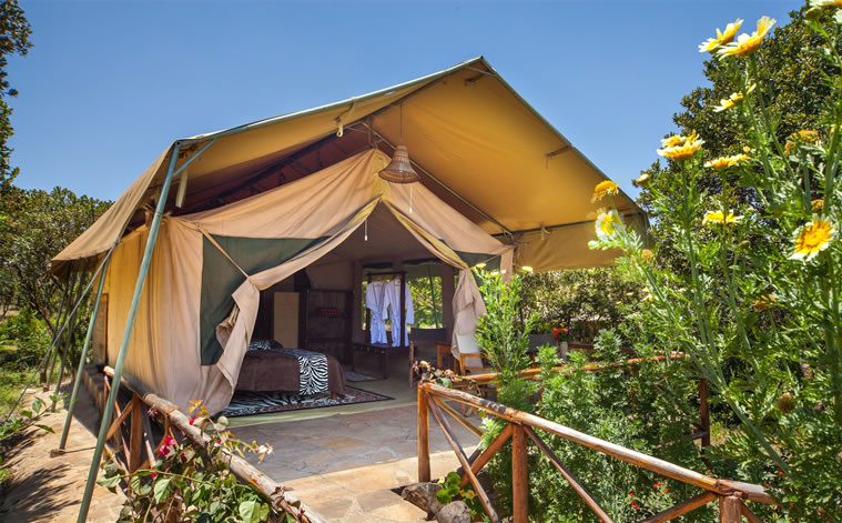 rhinowatchlodge