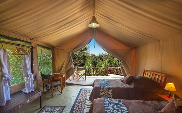 rhinowatchlodge
