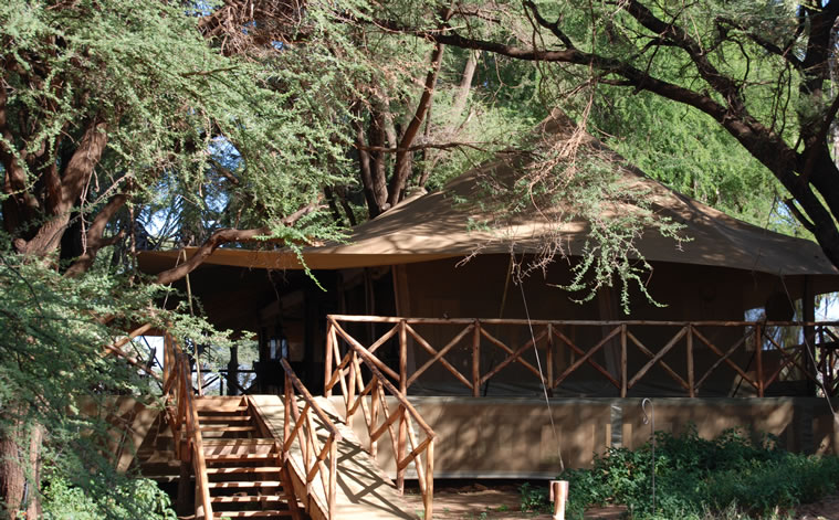 elephant bedroom camp