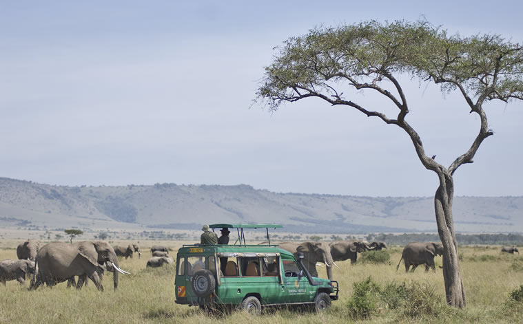 mara serena safari lodge