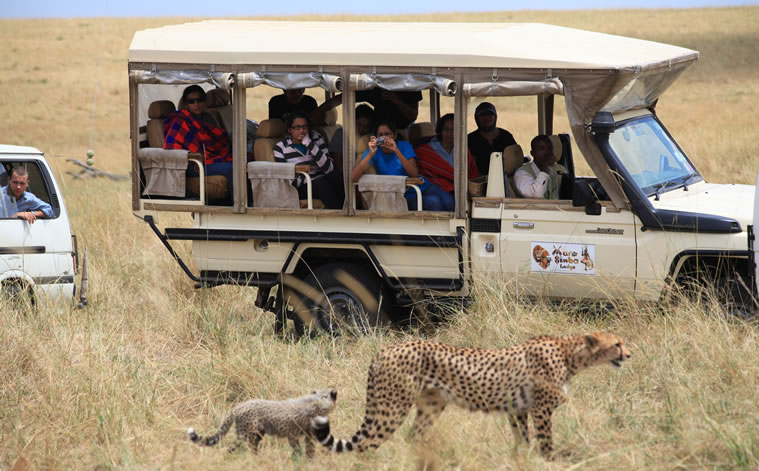 mara simba lodge
