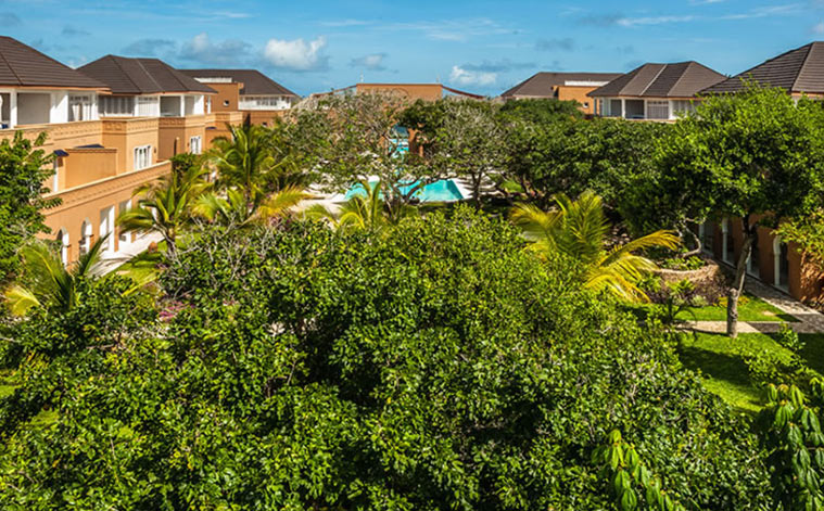 medina palms north coast