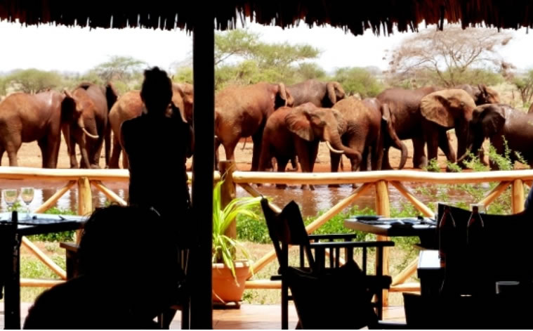 ngutuni lodge tsavo