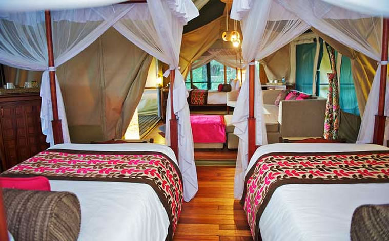 samburu intrepids