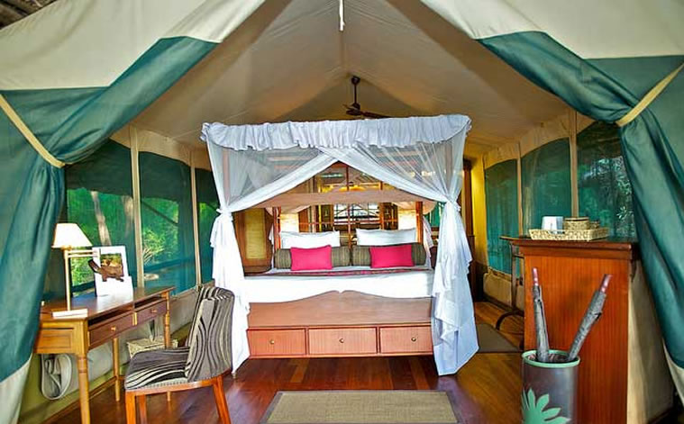 samburu intrepids
