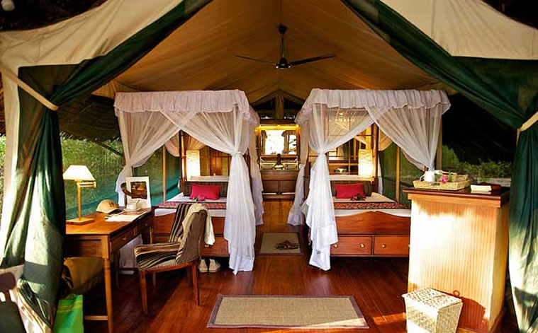 samburu intrepids