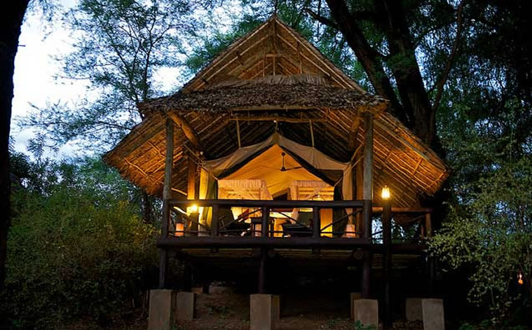 samburu intrepids