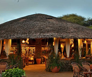 kibo-safari-camp