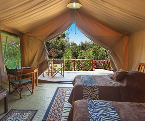 rhino-watch-lodge