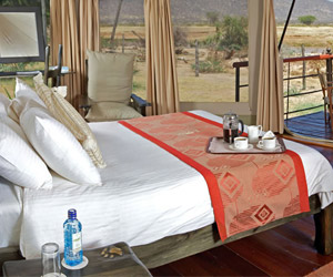 ashnil-samburu-camp