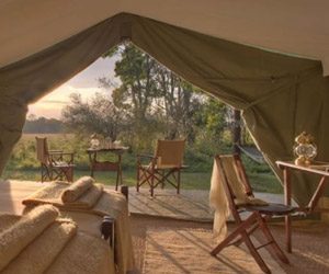 elephant-pepper-camp