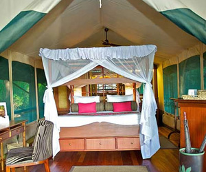 samburu-intrepids-camp