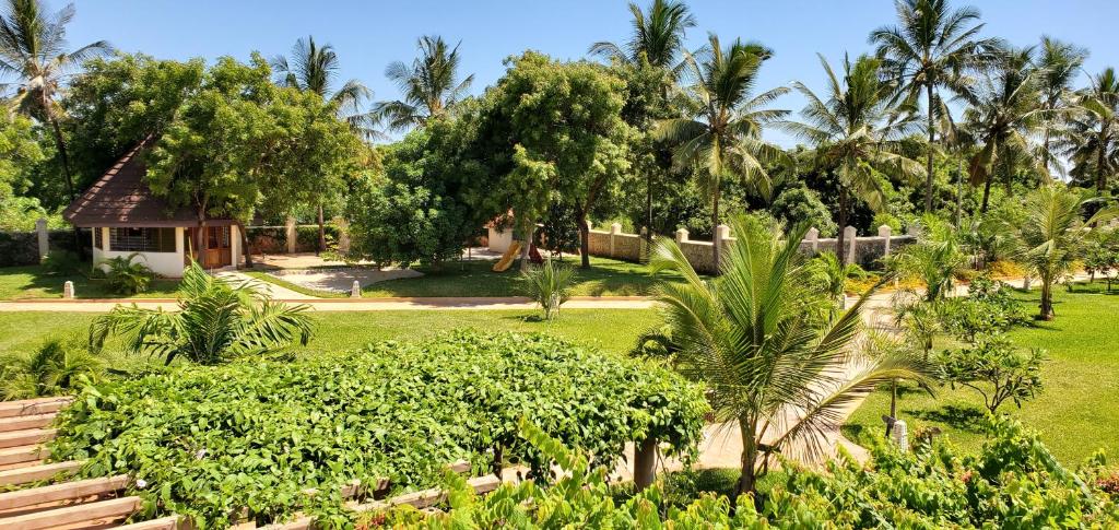silver-palm-beach-resort-and-spa